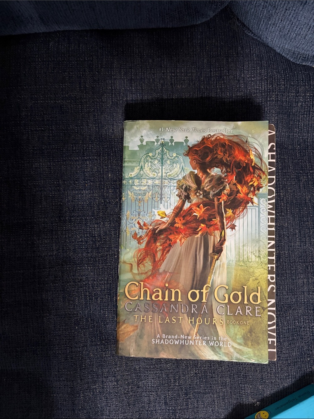 Chain of Gold by Cassandra Clare - Book with Autumn Cover Art